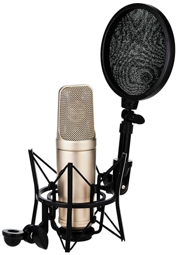 Rode NT2A Anniversary Vocal Multi-Pattern Dual Condenser Microphone Package - Silver