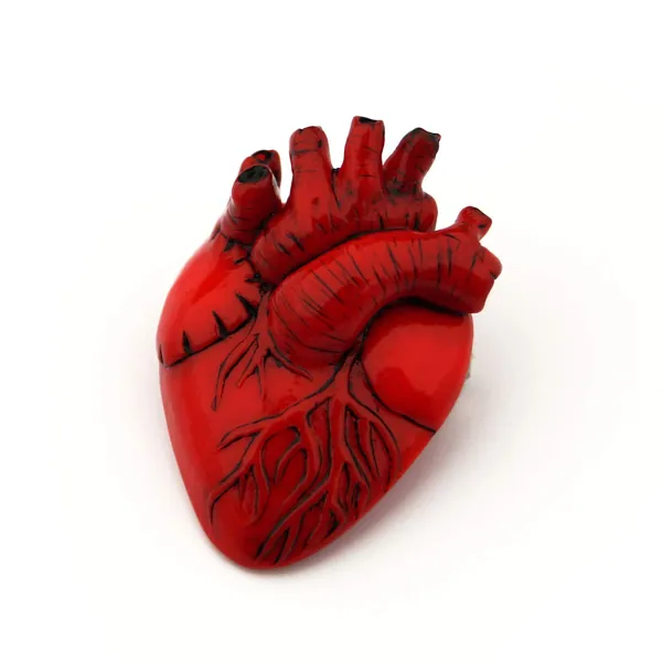 Anatomical Heart Brooch Halloween Gift Horror Goth Realistic Anatomy Art Human Heart Pin Gift for Doctor Nurse Medical Student - 