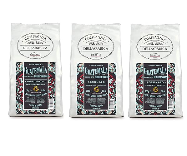 Caffè Corsini Guatemala Coffee 100% Arabica - 3 x 250 g - Coffee Beans