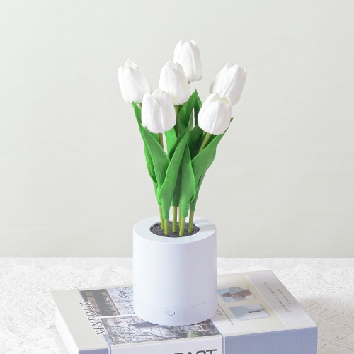 Light-Up Sunflower Desk Lamp - White Tulips