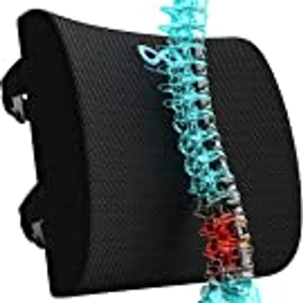 Everlasting Comfort Lumbar Support Cushion - Ergonomic Memory Foam Back Rest Cushion with Dual Adjustable Straps and Breathable Mesh Cover - Chair Pillow Back Support for Office Chair, Car Seat