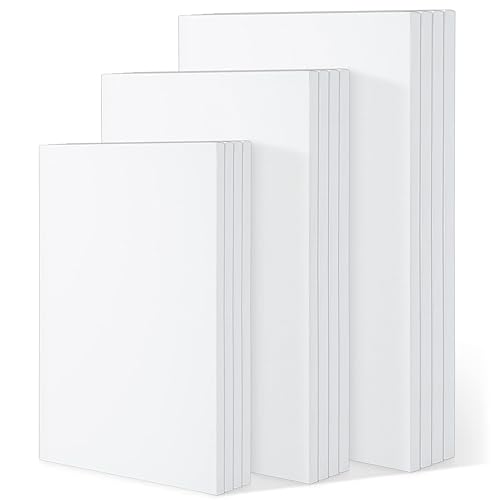 Hestya 12 Pieces Assorted Size Mini Art Canvas Stretched for Craft Painting Drawing (9 x 12 Inch, 11 x 14 Inch, 12 x 16 Inch), White (Hestya-634245) - 9 x 12 Inch, 11 x 14 Inch, 12 x 16 Inch