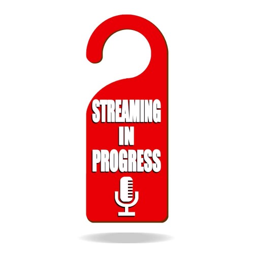 Streaming in Progress Wooden Door Knob Hanger Sign for Meeting in Session, Office, Home, Clinic, Therapists, Hotel, Health Care 9"3.54" Decoration