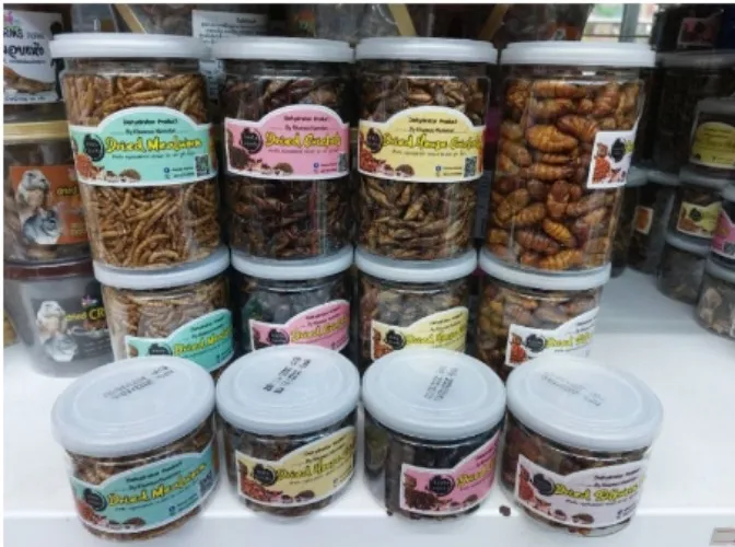 Dried Worms For Yugo