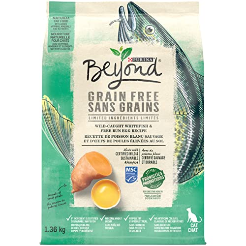 Beyond Grain Free Natural Dry Cat Food, Ocean Whitefish & Egg 1.36 kg Bag - 1.36 kg (Pack of 1)