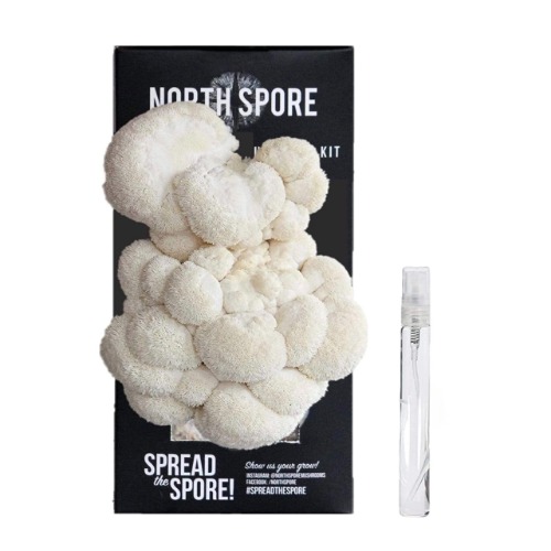 North Spore Lion's Mane Mushroom Spray & Grow Kit (4 lbs) | Non-GMO, Beginner Friendly & Easy to Use | Grow Your Mushrooms at Home | Handmade in Maine, USA | Unique one-of-a-Kind Gift!