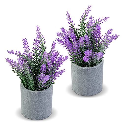 CADNLY Artificial Lavender Plant in Pots - Faux Lavender Artificial Flowers - Fake Lavender Plants Potted – Modern Farmhouse Flower Decor - Purple Lavender Decor for Bathroom Bedroom Kitchen 2 Pack - Purple Grey