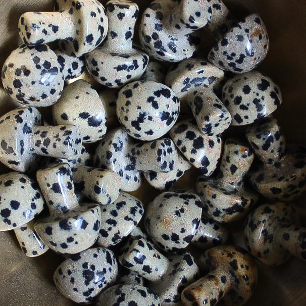 Mini Crystal Mushrooms, Dalmatian Jasper - Mini Crystal Mushrooms, Dalmatian Jasper