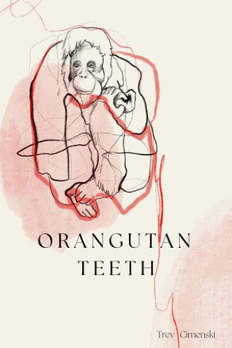 Orangutan Teeth