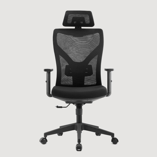 Stance Ergonomic High Back Office Chair with Headrest