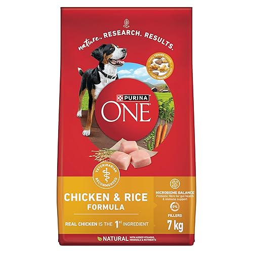 Purina ONE Dry Dog Food, Chicken & Rice - 7 kg Bag - 7 kg (Pack of 1) - Dry Dog Food