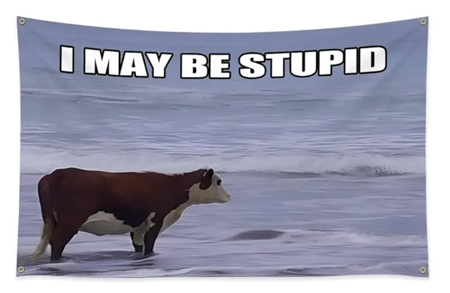 AUMIAU I May Be Stupid Cow Memes Funny Tapestry for College Dorm Room, Outdoor, Parties, Bedroom, Decor