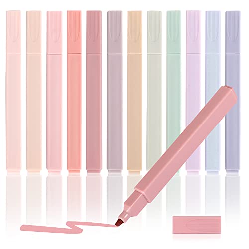 LABUK 12pcs Highlighters Aesthetic Pastel Cute Highlighter, Bible Highlighters and Pens No Bleed, with Assorted Colors, Dry Fast Easy to Hold for Journal Bible Planner Notes School Office Supplies - Pastel