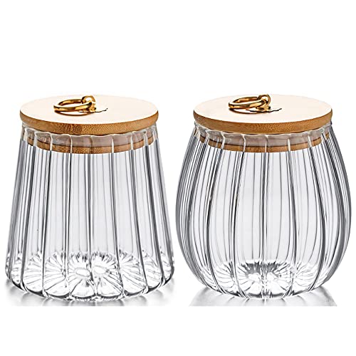 FANTESTICRYAN Small Glass Coffee Nuts Canister Airtight Storage Jar Petal Decorative Container with Bamboo Lid Metal Handle Easy to Grasp 700ml, 23 FL OZ (Set of 2) - Oval&Taper