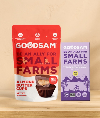 The SWEET and SALTY Bundle