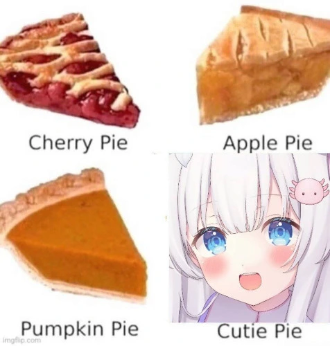 Dakimakura Merch Funds