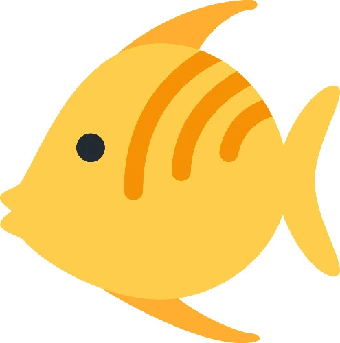 🐟fish fund🐟
