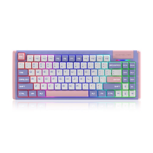 Purple Pink Lilac 75 Percent Cute Kawaii Wireless Backlit Mechanical Keyboard | 3 Connectivity (USB-C /2.4G /Bluetooth) / D84 / Gateron Brown Switch