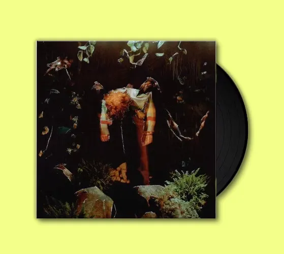 Cavetown - Vinyl