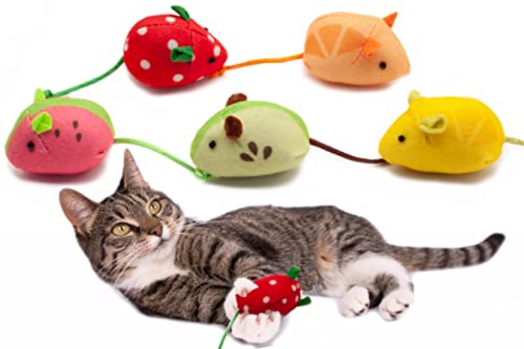 Fashion's Talk 10 Count Fruit Mice Cat Toy Soft Plush Catnip Mouse Kitten Toys Containing Pure Catnip,Value Pack - 10 Count - Fruit Mice