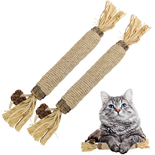 HUPA Catnip Silvervine Sticks - Designed to Clean Your Cats' Teeth, Calm Their Anxiety and Stress, Catnip Chew Toy, Safe for All Ages and Breeds (Set of 2 Sticks) - Catnip