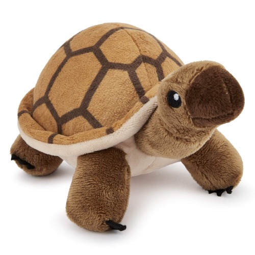 Zappi Co Childrens Soft Cuddly Plush Toy Great For New Born Child First (12-15cm / 5-6 Inch) (Tortoise)