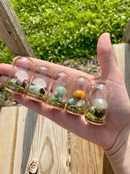 Mini Mushroom Terrariums|Choose your mushroom|Read Description
