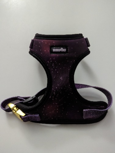 Galaxy Pet Harness - S