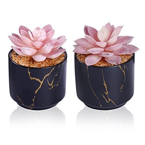 ZENIDA Succulent Artificial Plants,Cute Fake Succulents in 2 Black Ceramic Pots,Small Fake Plants for Office,Table,Desk,Bathroom, Bedroom,Aesthetic Room Shelves Decor,Desk Decorations for Women Office - Black - 2