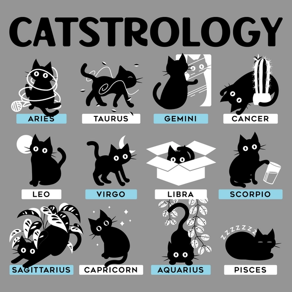 Catstrology T-Shirt | SnorgTees