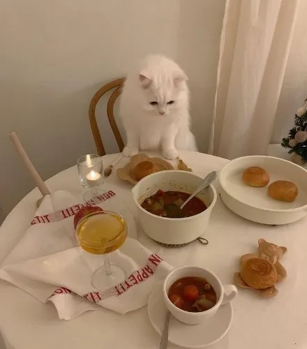 ‧₊˚ ⋅* ‧₊ buy me dinner! 