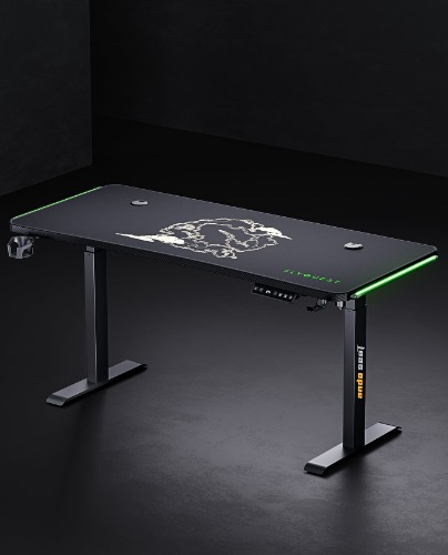 FlyQuest Edition Gaming Standing Desk - 63.0”(L) x 23.6"(W) x 0.71"(H) / FlyQuest Edition / Black