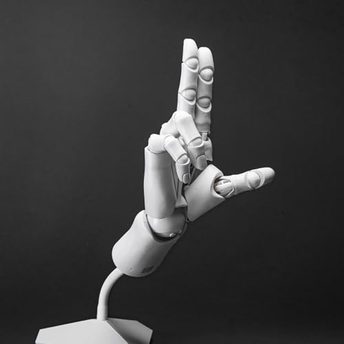  Posable Hand Model 