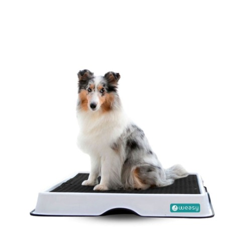 Weasy Smart Potty | M / No / White and Black