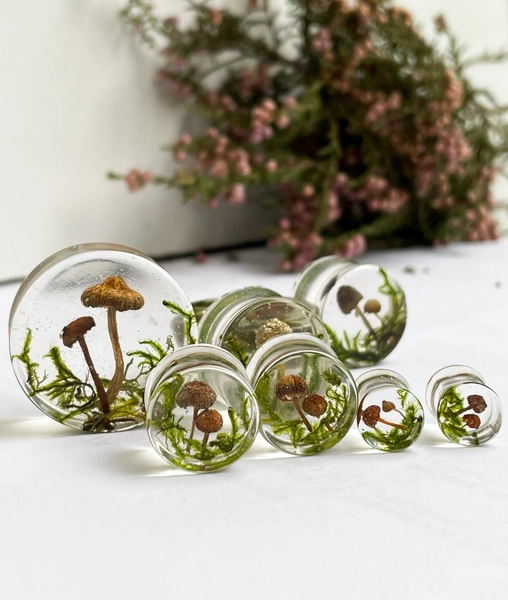 Natural moss mushroom gauges, real plug, mushroom plug