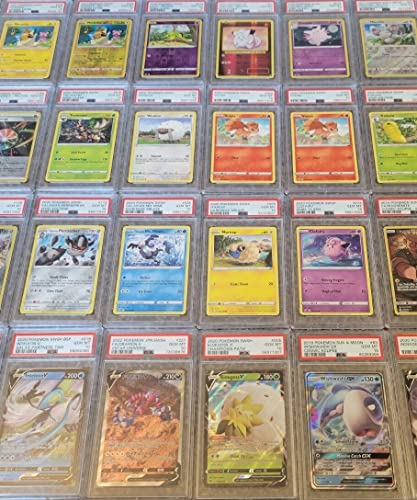One Random PSA 10 Gem Mint Graded and Authenticated Encased TCG Card (Perfect for Display)