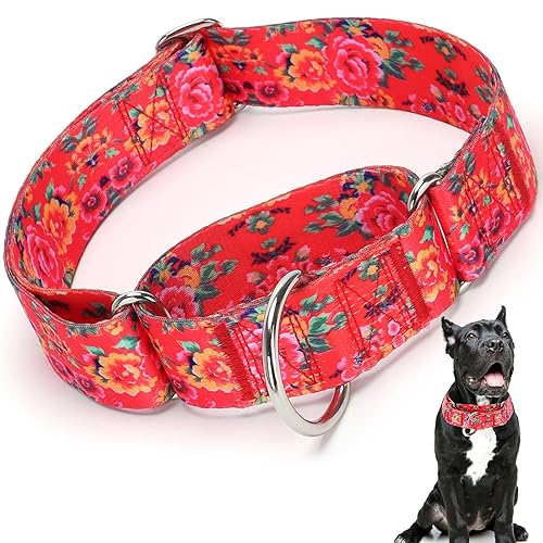 Martingale Collar 1.5 Inches Wide Dog Collar, Heavy Duty Adjustable Collar with Manchurian Red Flower, Perfect Boy and Girl Collar for Training, Walking, Hunting (M) - 7 - L Neck 17-26"