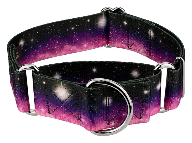 Country Brook Petz - Heavenly Space Martingale Dog Collar - Geek Chic Collection with 4 Designs for Any Mega Fan (1 1/2 Inch, Large) - Large (Pack of 1) - Heavenly Space