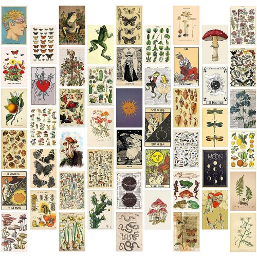 50 botanical prints <3