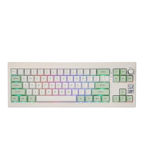 EPOMAKER Shadow-X Gasket Mechanical Keyboard with Screen, Hot Swappable 3 Modes (2.4ghz/Bluetooth/USB-C Wired) Wireless Gaming Keyboard, Poron Foam, Silicon Pad (White Green, Flamingo Switch) - Epomaker Flamingo Switch - White Green