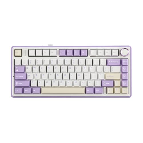 EPOMAKER x Aula F75 Gasket Mechanical Keyboard, 75% Wireless Hot Swappable Gaming Keyboard with Five-Layer Padding&Knob, Bluetooth/2.4GHz/USB-C, RGB (Purple, LEOBOG Reaper Switch) - LEOBOG Reaper Switch - Purple