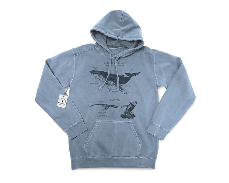 Humpback Whale Anatomy Hoodie, Humpback Sweatshirt, Marine Biologist Sweatshirt, Humpback Whale Watching Sweatshirt