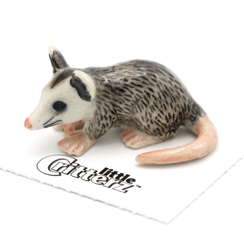 Opossum "Thumbs"