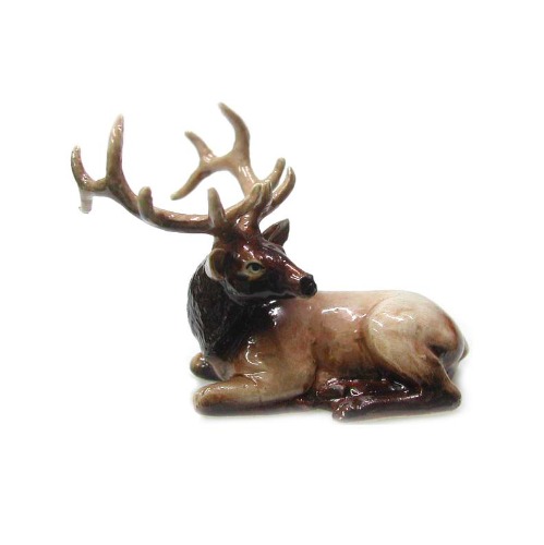 Elk Lying Down