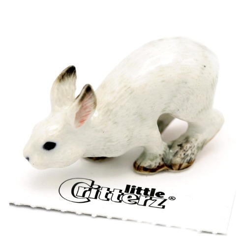 Snowshoe Hare  "Thumper" 