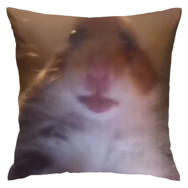 Throw Pillow Case Staring Hamster Meme Cushion Home Pillowcase Living Room Soft Square Cover for Decor Bedroom Couch 18 X 18 Inch - 2