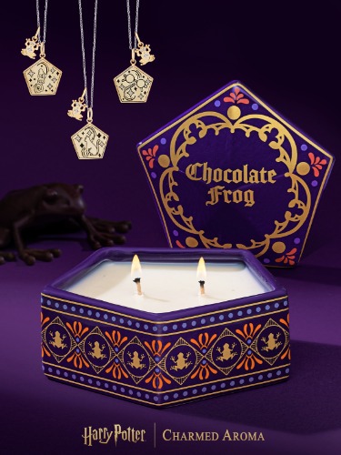 Harry Potter™ Chocolate Frog Jewelry Candle - Wizard Card Necklace Collection | Default Title