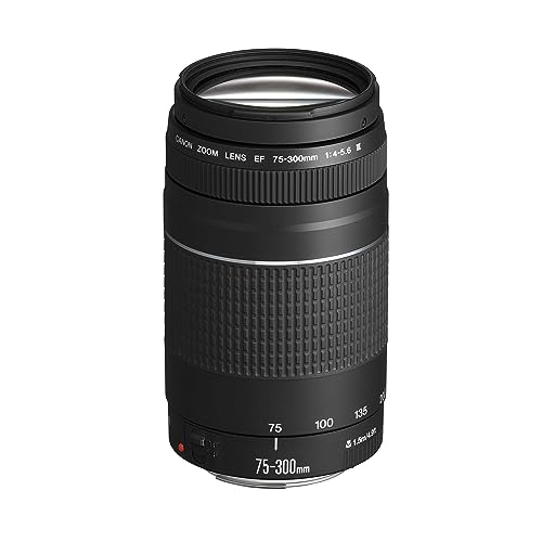 Canon EF 75-300mm F4.0-5.6 III Zoomobjektiv (58mm Filtergewinde) schwarz - Telezoomobjektiv - Single