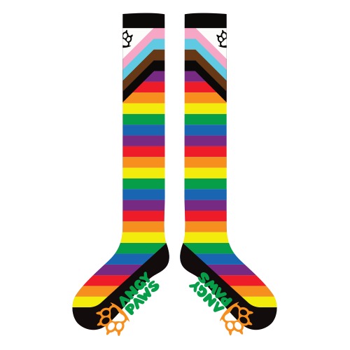 Progress Pride Sockies