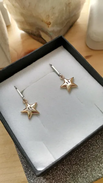 Super Mario Star Earrings, 10 Karat Gold